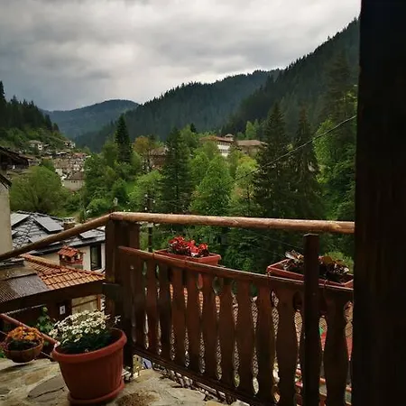 майоровата къща