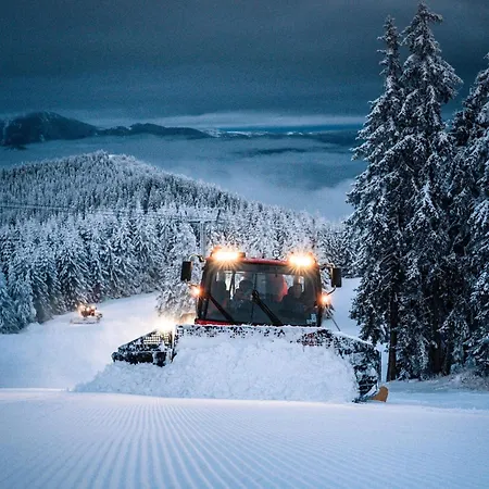 майоровата къща *