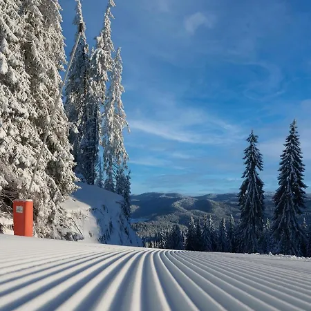 майоровата къща Holiday home Shiroka Luka (Smolyan)