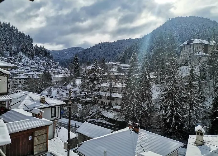 Ваканционна къща майоровата къща