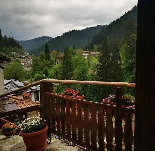 майоровата къща