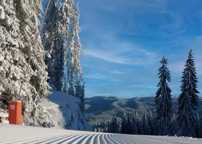 майоровата къща בית נופש Shiroka Lŭka